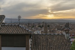 DSC4235