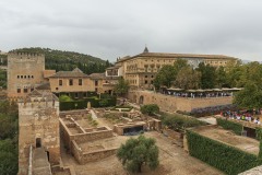 DSC4371