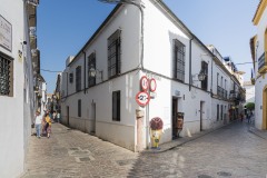 DSC4481