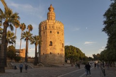 DSC4814