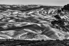 DSC_0016-2