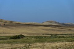 DSC_0054