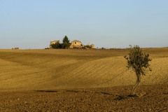 DSC_0111