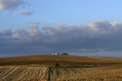 DSC_0120