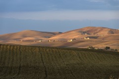 DSC_0143-copia