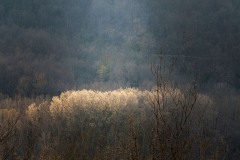 DSC1914