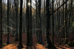 DSC5169-