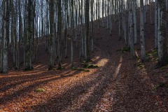 DSC5201-