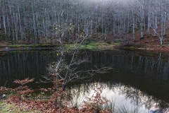DSC5211-