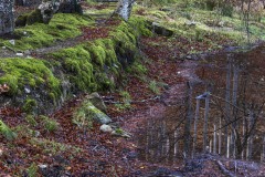 DSC5215-