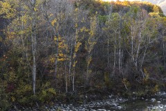 DSC5242-