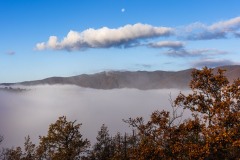 DSC5343-