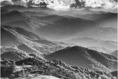 DSC_0533bw