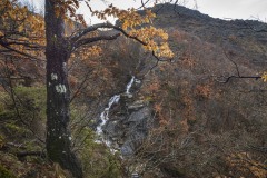 DSC_0923_017