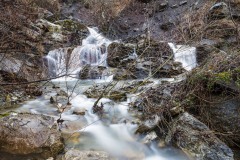 DSC_0940_029