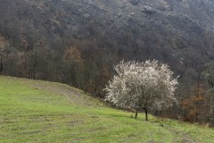 DSC_6652