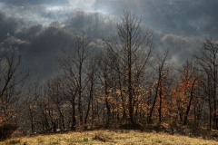 DSC_6688-2