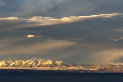 DSC_4598