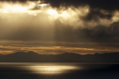 DSC_8886