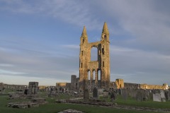 DSC_0468