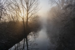 DSC1748
