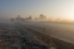 DSC1757