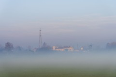 DSC1767
