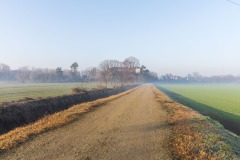 DSC1770