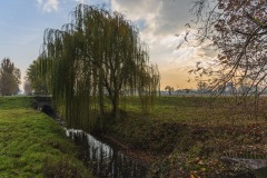 DSC5259