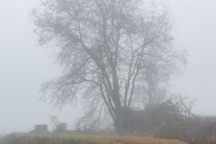 DSC7341