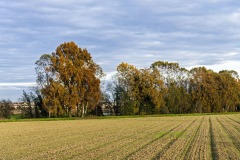 DSC8033