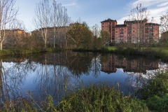 DSC8124