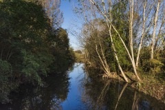 DSC8164