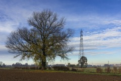 DSC_8816