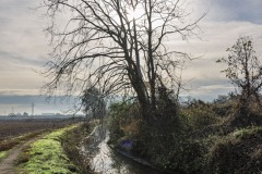 DSC_8820