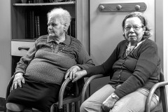 DSC_4761-NEF_DxO_DeepPRIME-copia