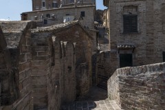 DSC_0798