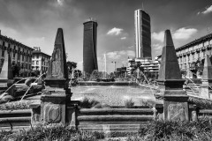 DSC_0816-3