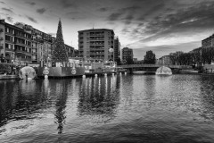 DSC_0819-copia