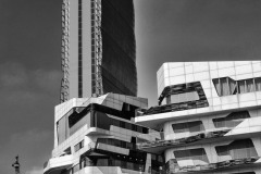 DSC_0825-2