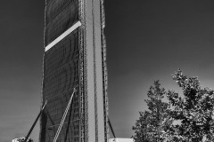 DSC_0852bw