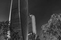 DSC_0859-2
