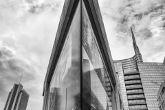 DSC_1175bw