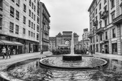 DSC_1184bw