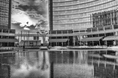 DSC_1205bw
