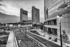 DSC_1238bw