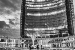 DSC_1253bw