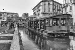 DSC_1592