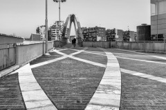 DSC_1691-bw