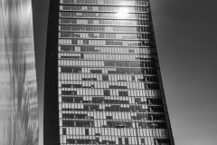 DSC_1755